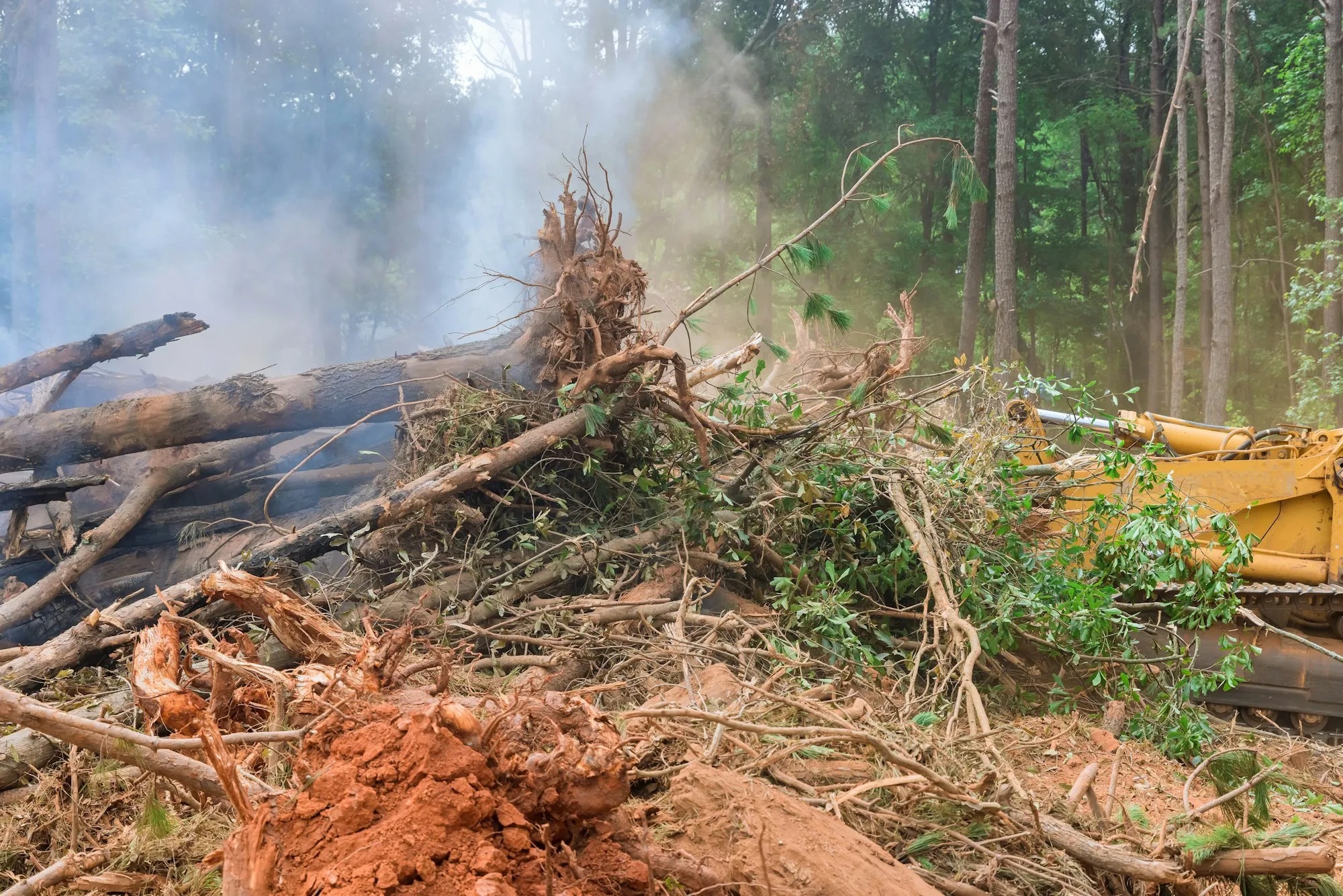 Land Clearing — excavation contractor Selmer, TN Land clearing with excavator in McNairy County TN