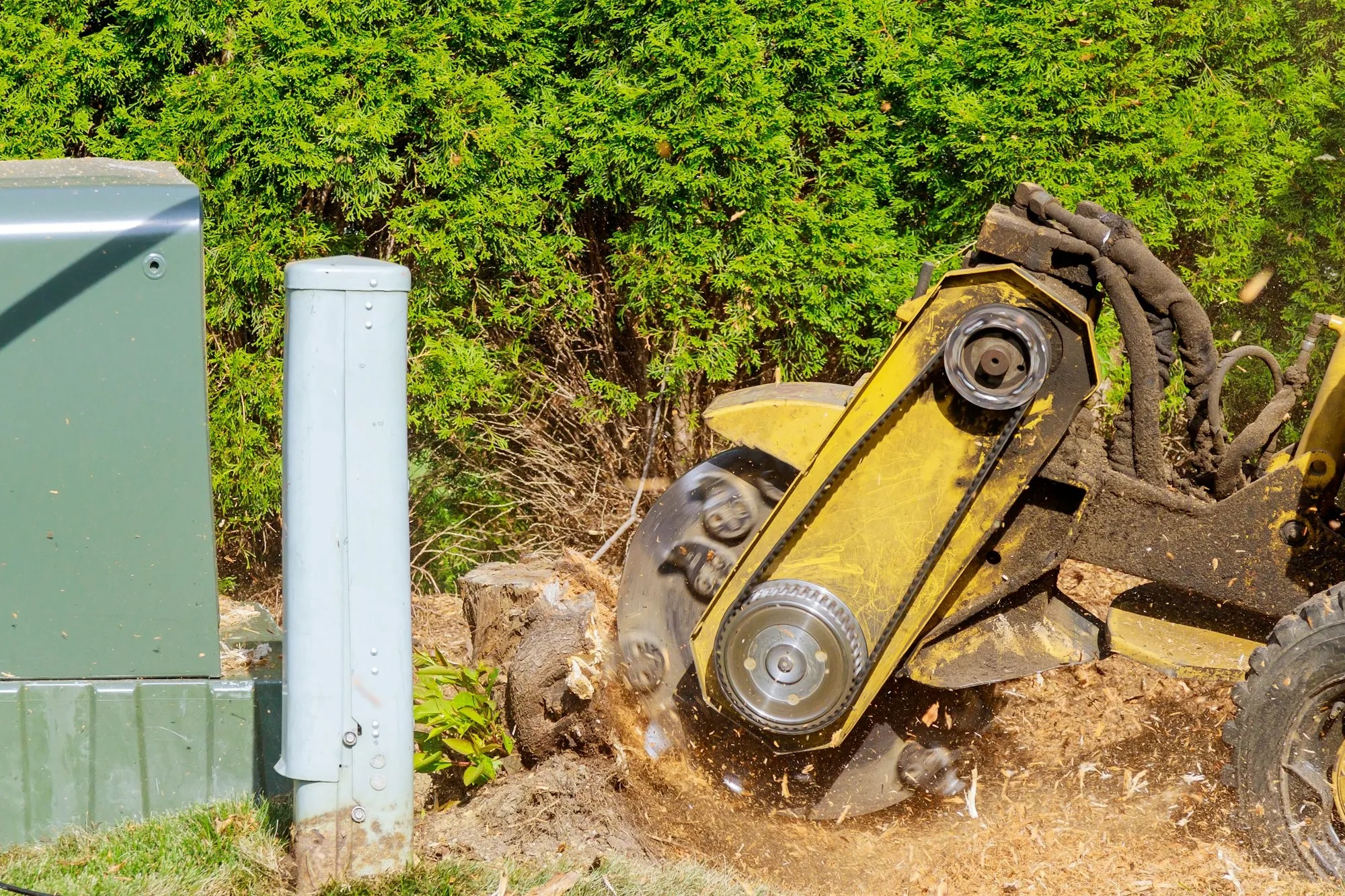 Stump Grinding — excavation contractor Selmer, TN Stump grinding service for McNairy County properties