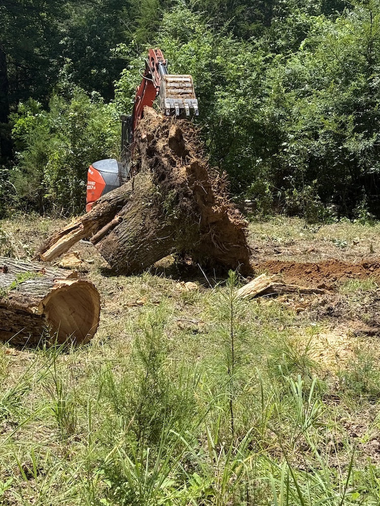 Stump Removal — excavation contractor Selmer, TN Full stump removal excavation in Selmer TN