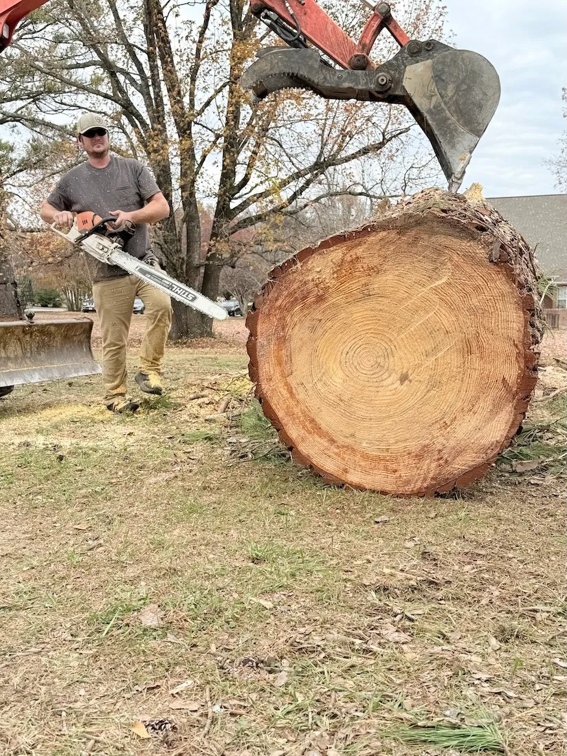 Tree Removal — excavation contractor Selmer, TN Tree removal and stump extraction work in Selmer TN by Kaup's Tree Service
